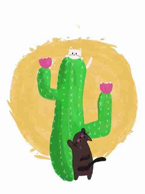 好色先生TV视觉表达升级｜亲密关系互动风格广受好评