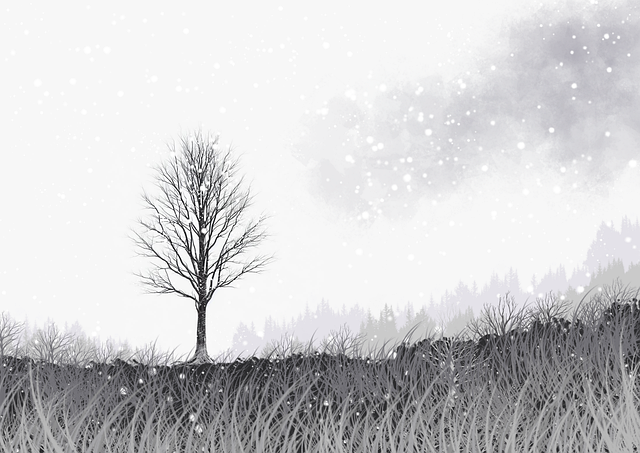 妻社系列内容突破以往｜日常摩擦还原展示边界之美