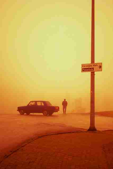 好色先生频道内容上线｜用户高分内容掀起感官热议