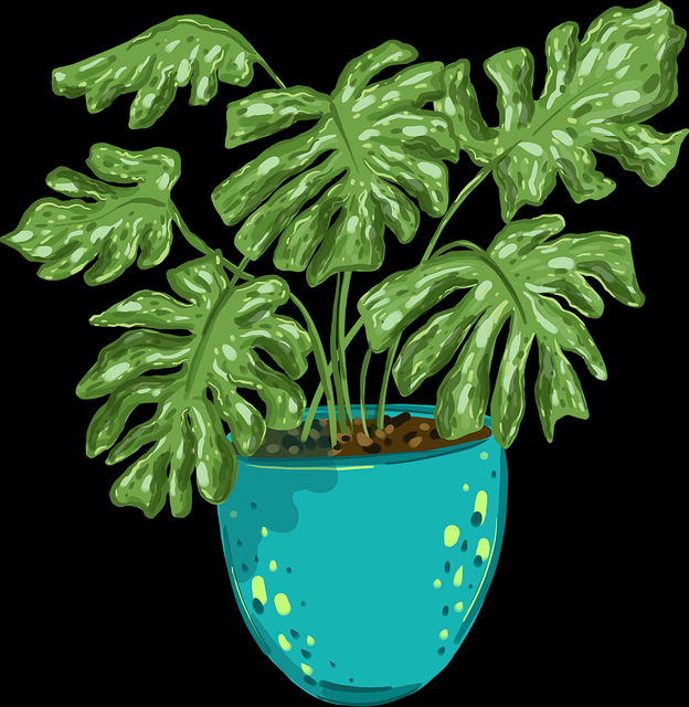 探花视频App用户好评专题｜互动节奏提升引发弹幕狂潮