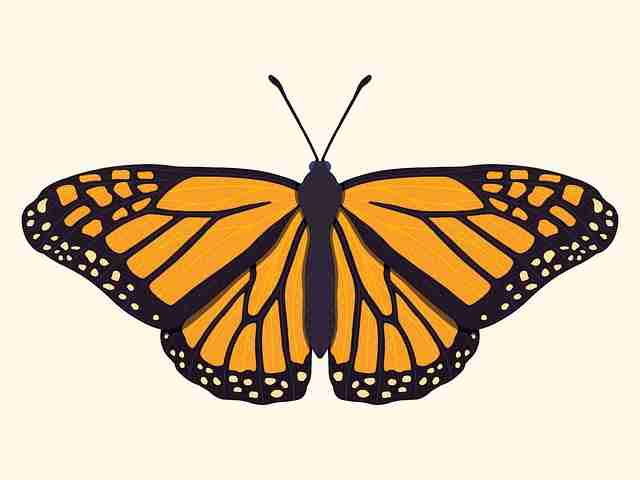 探花用户好评专题｜剪辑版专属合集引发弹幕狂潮