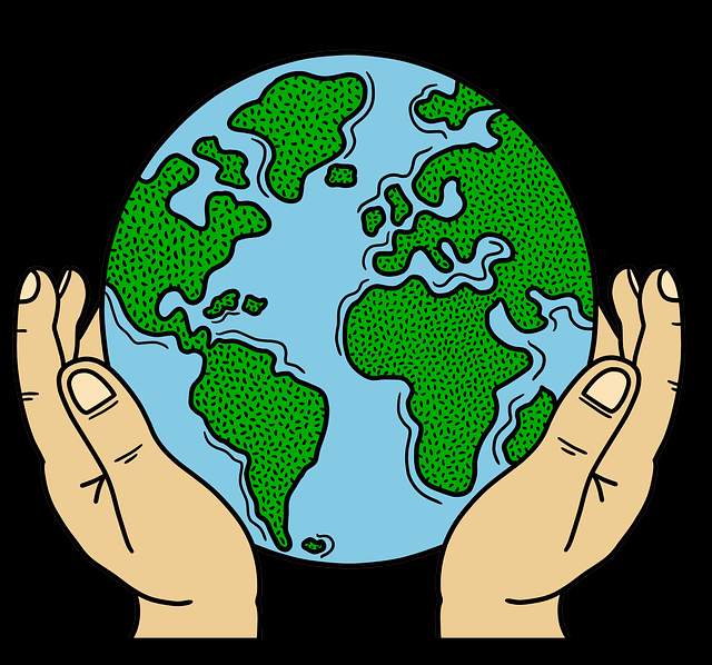 鉴黄师电脑版职业发展通道解析｜行业背后真相也能晋升管理岗