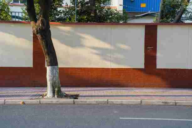 onlyfnas官网平台运营手册｜视觉语言表达探索规则逻辑清晰呈现