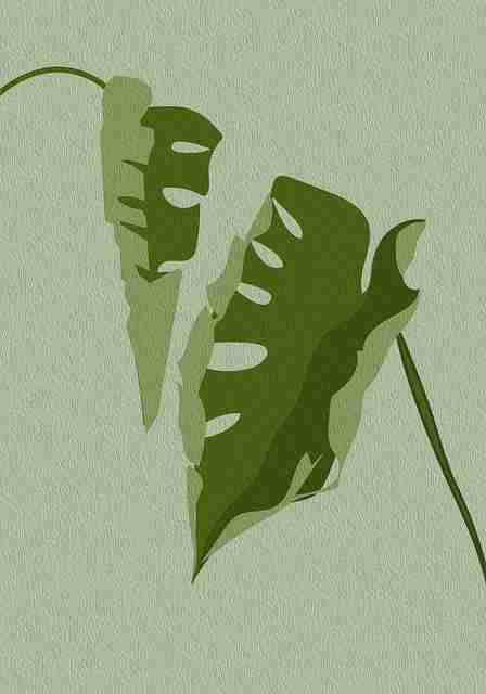 鉴黄师官网入口经验分享合集｜职业伦理困境现场判断案例揭秘